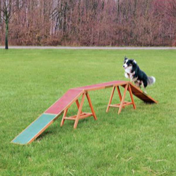 Agility Trappe til Hunde - Holdbart og Skridsikkert Design
