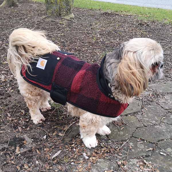 Carhartt Plaid Chore Coat til hund - Vinterjakke i sort