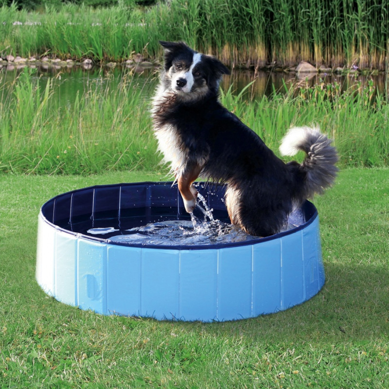 Hundepool 120 x 30 - Perfekt til sommerleg!