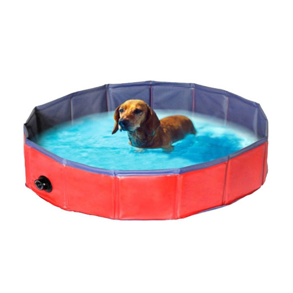 Hunde Swimming Pool L