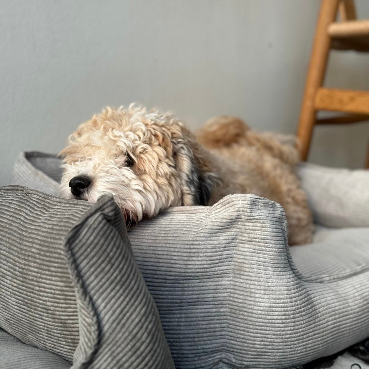 Elmer Hundekurv   Grå