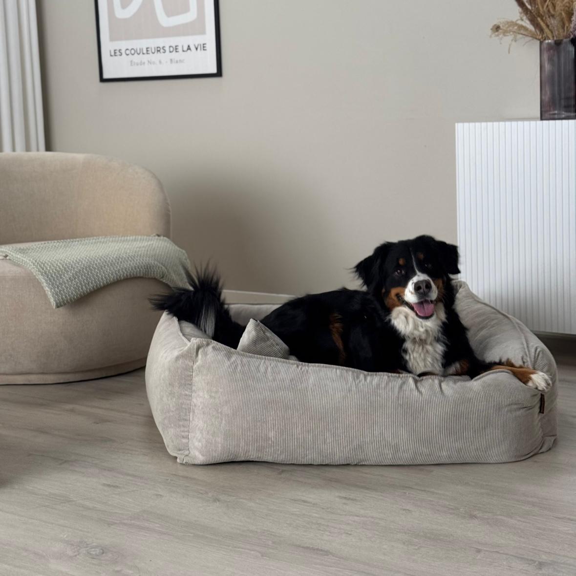 Carl Hundekurv   Beige   Xl   Forudbestilling Uge 31