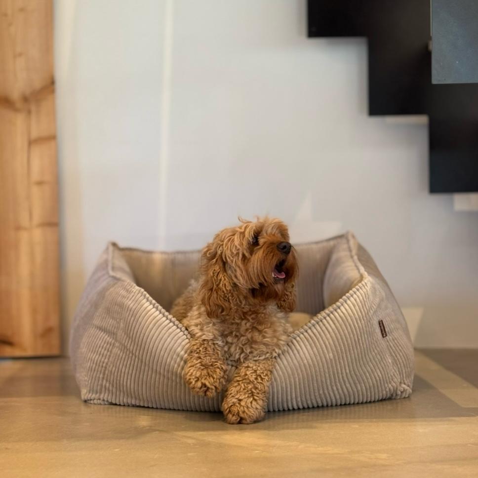 Carl Hundekurv   Beige   Xl