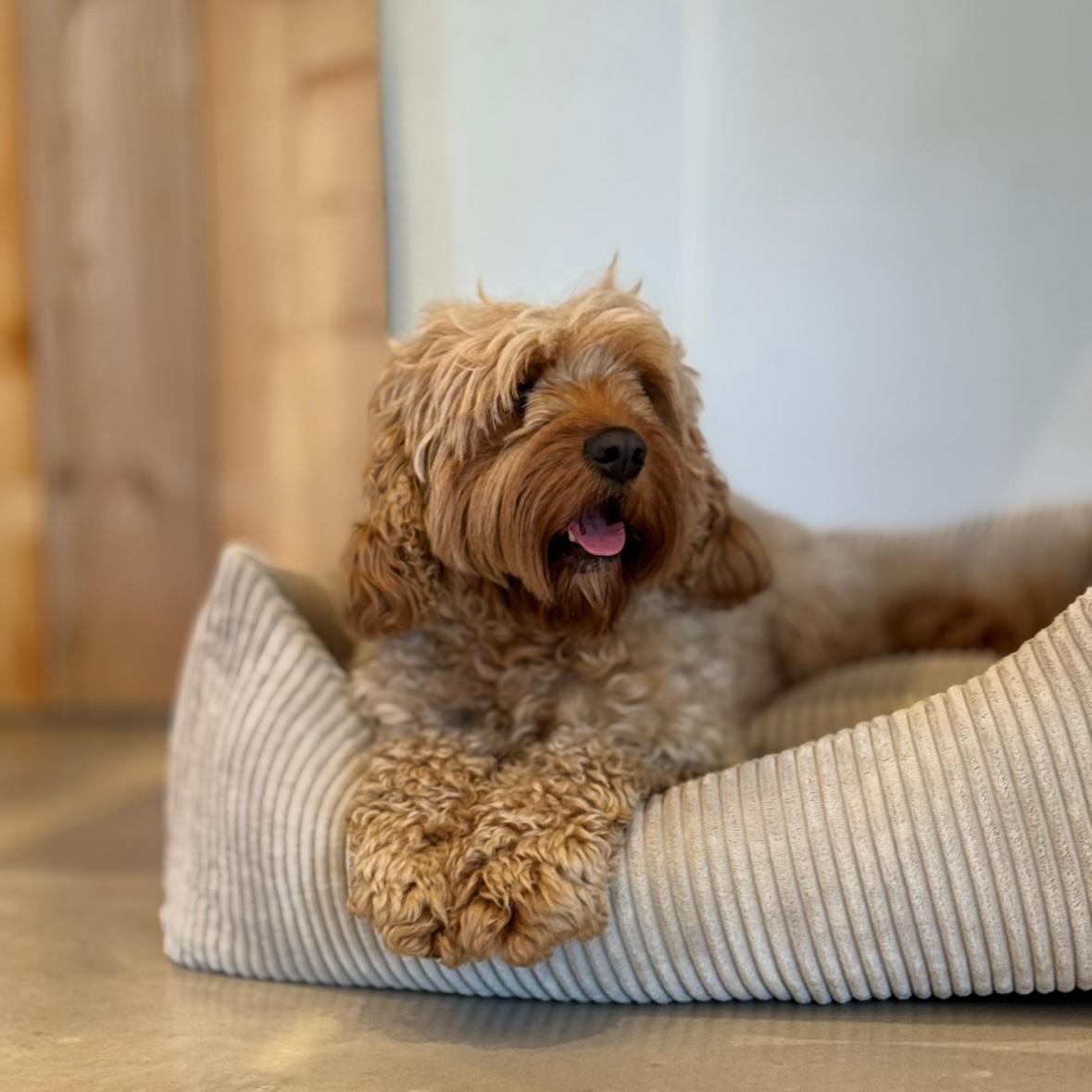 Bjørk Hundekurv   Beige I Bred Fløjl