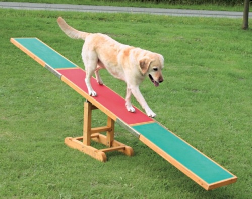 Agility Vippe til Hunde - Sjov og Træning 300 cm